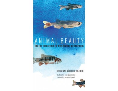 Animal Beauty: On the Evolution of Biological Aesthetics