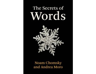 The Secrets of Words