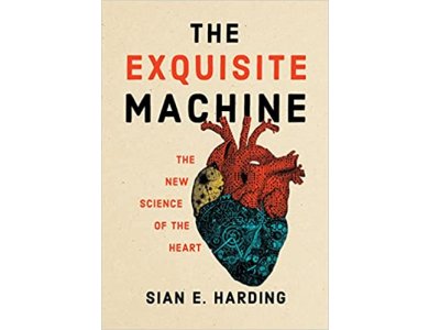 The Exquisite Machine: The New Science of the Heart