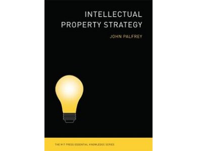 Intellectual Property Strategy