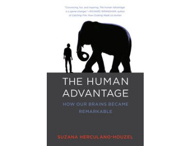 The Human Advantage : How Our Brains Became Remarkable