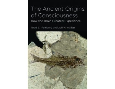 The Ancient Origins of Consciousness: How the Brain Created Experience