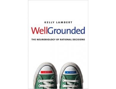 Well-Grounded: The Neurobiology of Rational Decisions