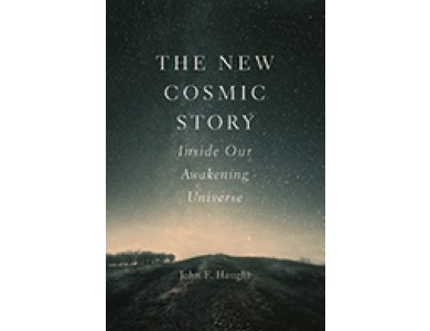 The New Cosmic Story : Inside our Awakening Universe