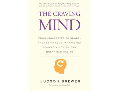 The Craving Mind: From Cigarettes to Smartphones to Love- Why we get Hooked & How we can Break Bad Habits