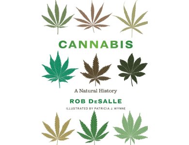 Cannabis: A Natural History