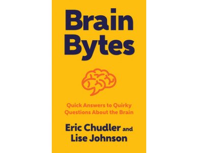Brain Bytes: Quick Answers to Quirky Questions About the Brain