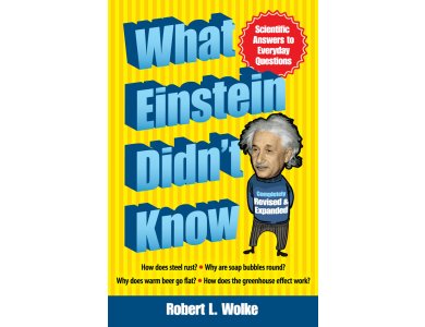 What Einstein Didn't Know : How Does Steel Rust? Why are Soap Bubbles  Round? Why Does Warm Beer Go