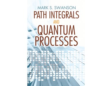 Path Integrals and Quantum Processes