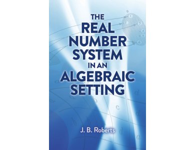 The Real Number System in an Algebraic Setting