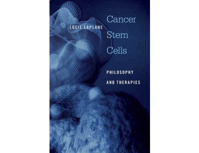 Cancer Stem Cells: Philosophy and Therapies