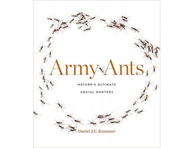 Army Ants: Natures Ultimate Social Hunters