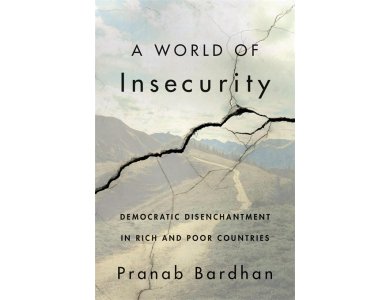 A World of Insecurity: Democratic Disenchantment in Rich and Poor Countries