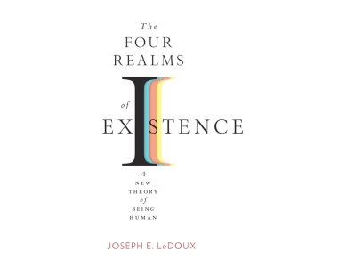 The Four Realms of Existence: A New Theory of Being Human