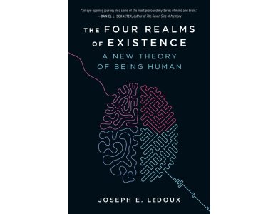 The Four Realms of Existence: A New Theory of Being Human