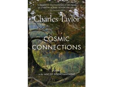 Cosmic Connections: Poetry in the Age of Disenchantment