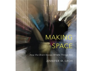 Making Space: How the Brain Knows Where things are