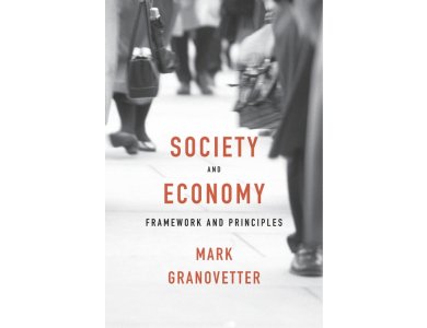 Society and Economy: Framework and Principles