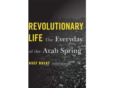 The Revolutionary Life: The Everyday of the Arab Spring