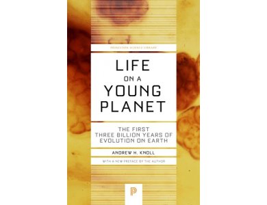 Life on a Young Planet