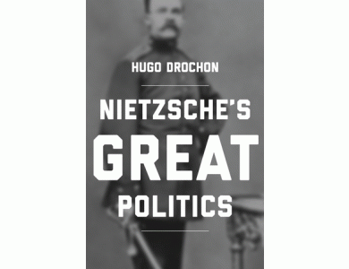Nietzsche's Great Politics