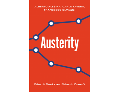 Austerity: When It Works and When It Doesn't