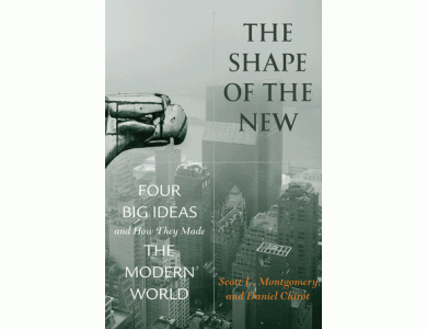 The Shape of the New: Four Big Ideas and How They Made the Modern World
