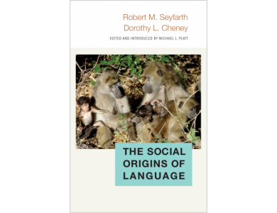 The Social Origins of Language