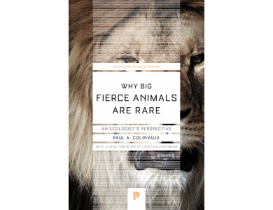 Why Big Fierce Animals Are Rare: An Ecologist's Perspective