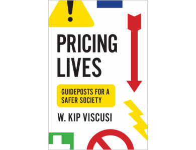 Pricing Lives: Guideposts for a Safer Society