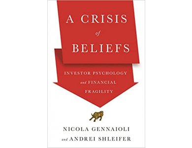 A Crisis of Beliefs: Investor Psychology and Financial Fragility