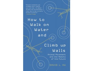 How to Walk on Water and Climb up Walls: Animal Movement and the Robots of the Future