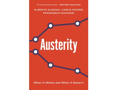 Austerity: When It Works and When It Doesn't