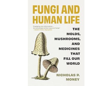 Fungi and Human Life: The Molds, Mushrooms, and Medicines That Fill Our World
