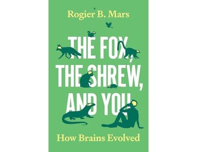 The Fox, the Shrew, and You: How Brains Evolved