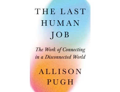 The Last Human Job: The Work of Connecting in a Disconnected World