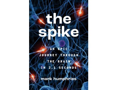Spike: An Epic Journey Through the Brain in 2.1 Seconds