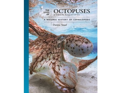The Lives of Octopuses and Their Relatives: A Natural History of Cephalopods