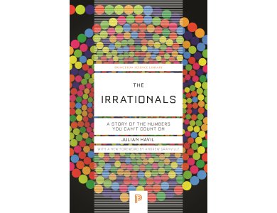 The Irrationals: A Story of the Numbers You Can't Count On