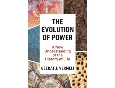 The Evolution of Power: A New Understanding of the History of Life