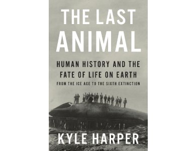 The Last Animal: Human History and the Fate of Life on Earth from the Ice Age to the Sixth Extinction