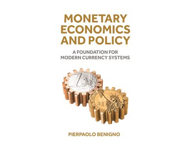 Monetary Economics and Policy: A Foundation for Modern Currency Systems