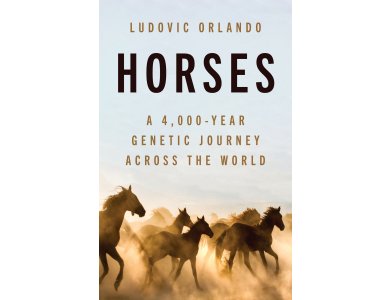 Horses: A 4,000-Year Genetic Journey Across the World
