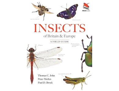 Insects of Britain and Europe: A Field Guide