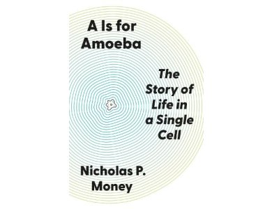 A Is for Amoeba: The Story of Life in a Single Cell