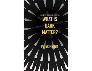 What Is Dark Matter?