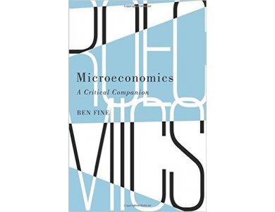 Microeconomics: A Critical Companion