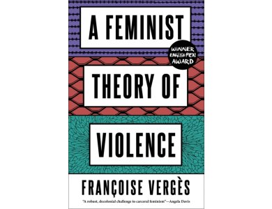 A Feminist Theory of Violence: A Decolonial Perspective