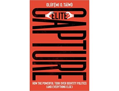 Elite Capture: How the Powerful Took Over Identity Politics( And Everything Else)