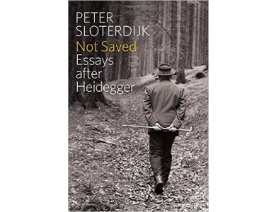 Not Saved: Essays After Heidegger
